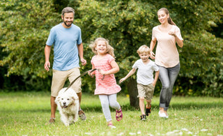 Activité Pour Famille